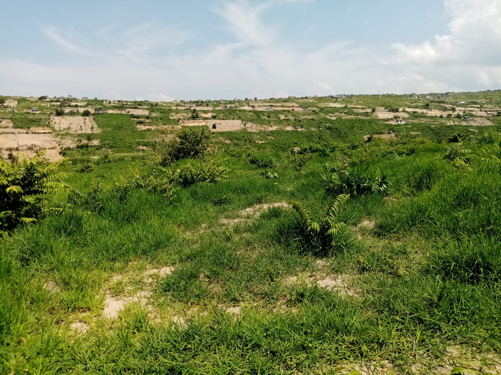 MPASA Green City site — gently rolling green terrain